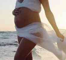 20 Tjedana trudnoće - Vaš ekvatora
