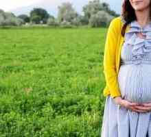 33 Tjedana trudnoće - pravila za život žene na ovaj termin