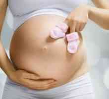 34 Tjedana trudnoće: fetalni pokreti, razvoj i ispitivanje majke