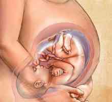 35 Tjedana trudnoće - kako se ponašati u budućnosti majka u tom razdoblju?