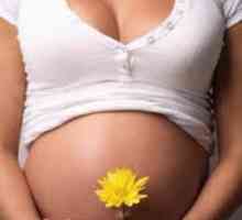 38 Tjedana trudnoće - do cilja ...