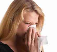 Alergijski rinitis, peludna groznica