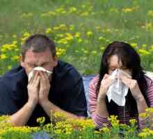 Alergija. Liječenje narodnih lijekova.