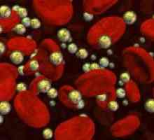 Što je krvni lipidograma i kako procijeniti učinkovitost ove analize