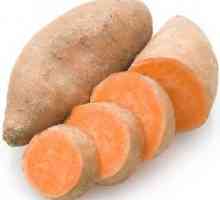 Slatki krumpir: korisna svojstva, kontraindikacije, recepti