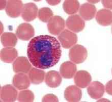 Što je eozinofili, i da oni pokazuju u krvi
