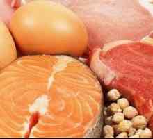 Protein u hrani, uloga proteina u našem tijelu