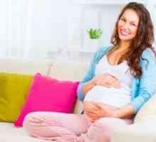 Trudnoća - 21 tjedan: veličina fetusa i bebe razvoj