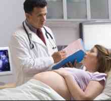 Trudnoća: razvoj trudnoće