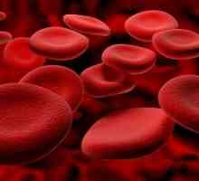 U crvenim krvnim stanicama povećao: Uzroci, posljedice i prevencija