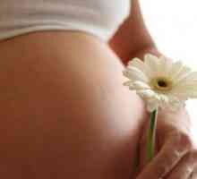 Sigurno liječenje kvasca tijekom trudnoće: liječnička preporuka