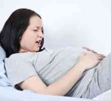 Što uzrokuje grčeve u donjem dijelu trbuha tijekom trudnoće?