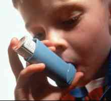 Bronhijalna astma. Liječenje narodnih lijekova.