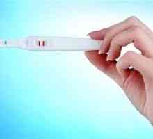 Test na trudnoću i mjesečno