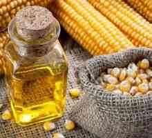 Što više koristan za nas od ove opasno ukusna kukuruznom ulju?