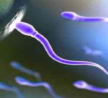 Što učiniti u smanjenom obujmu sperme