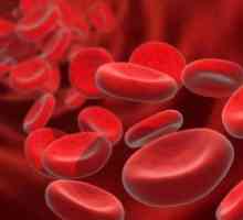 Što je to „crvene krvne stanice u krvi?”