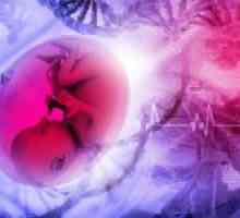 Što trebate znati o otkucajima srca fetusa