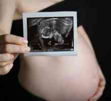 Što se događa s ženskom tijelu, a plod kad je 31 tjedana trudnoće?