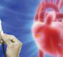 Što je hyperechoic fokus u klijetku srca fetusa
