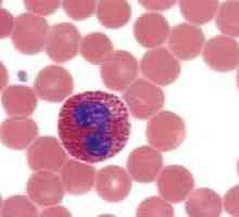 Što je eozinofila u krvi