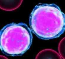Što je leukopenija, a ono što je opasno