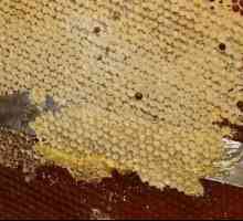 Što je pčelinji zabrus i kako se koristi?