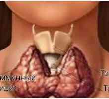 Što je tiroidni stimulirajući hormon (TSH)