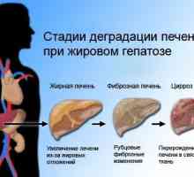 Masne jetre: Ljubitelji bolest jesti po noći