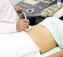 Što je uključeno u postupak ultrazvučne trbuha?