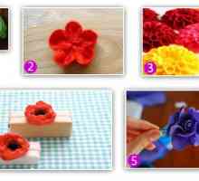 Fabric cvijeće svojim rukama: primjeri i korak po korak plan