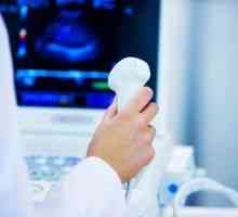 Crijeva ultrazvuk - Transkript: norma i moguće bolesti