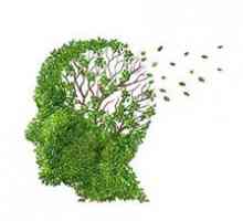 Atrofija mozga: uzroci i faktori razvoja, simptomi, liječenje i prognozu