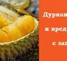 Durian i njen blagotvorni svojstva