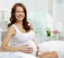 Razvoj i fetalna težina 23 tjedna trudnoće