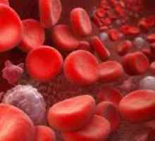 Hematokrit u krvi u normalnim uvjetima i razlozima za njegovu promjenu