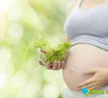 Hemoroidi nakon poroda: postupci liječenja i prevencije