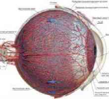 Konjunktive hiperemija oka