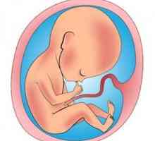 Hipoksija: prenatalna, porođaja i kronični - uzroci, simptomi, posljedice, liječenje