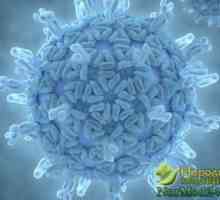 Glavni simptomi rotavirus, nacionalnog tretmana i prehrane nakon bolesti