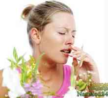 Suzne oči i nos za disanje: liječenje peludne groznice kod djece i odraslih