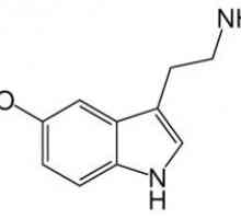 Hormon serotonin