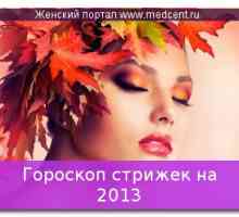 Horoskop frizure za 2013