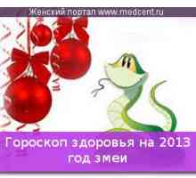Zdravlje horoskop za 2013. godinu zmije