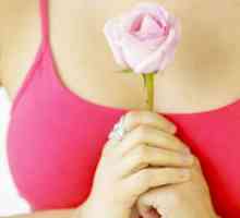 Karakteristike tumora dojke uzroka list