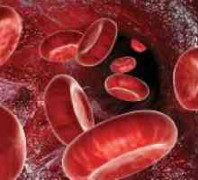 Što je to u krvi, i koja je njegova uloga u ljudskom tijelu