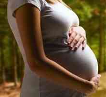 Učinkovit i siguran lijek za hemoroide u trudnoći