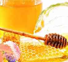 Učinkovito liječenje želuca aloje i meda