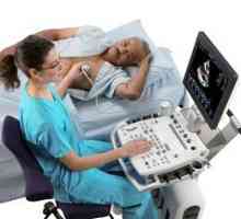 Ehokardiografija (ultrazvuk srca): indikacije, vrste održavanja, dekodiranje