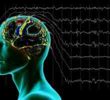 EEG u epilepsiji - osobito proučavanje i ugradnja dijagnoze